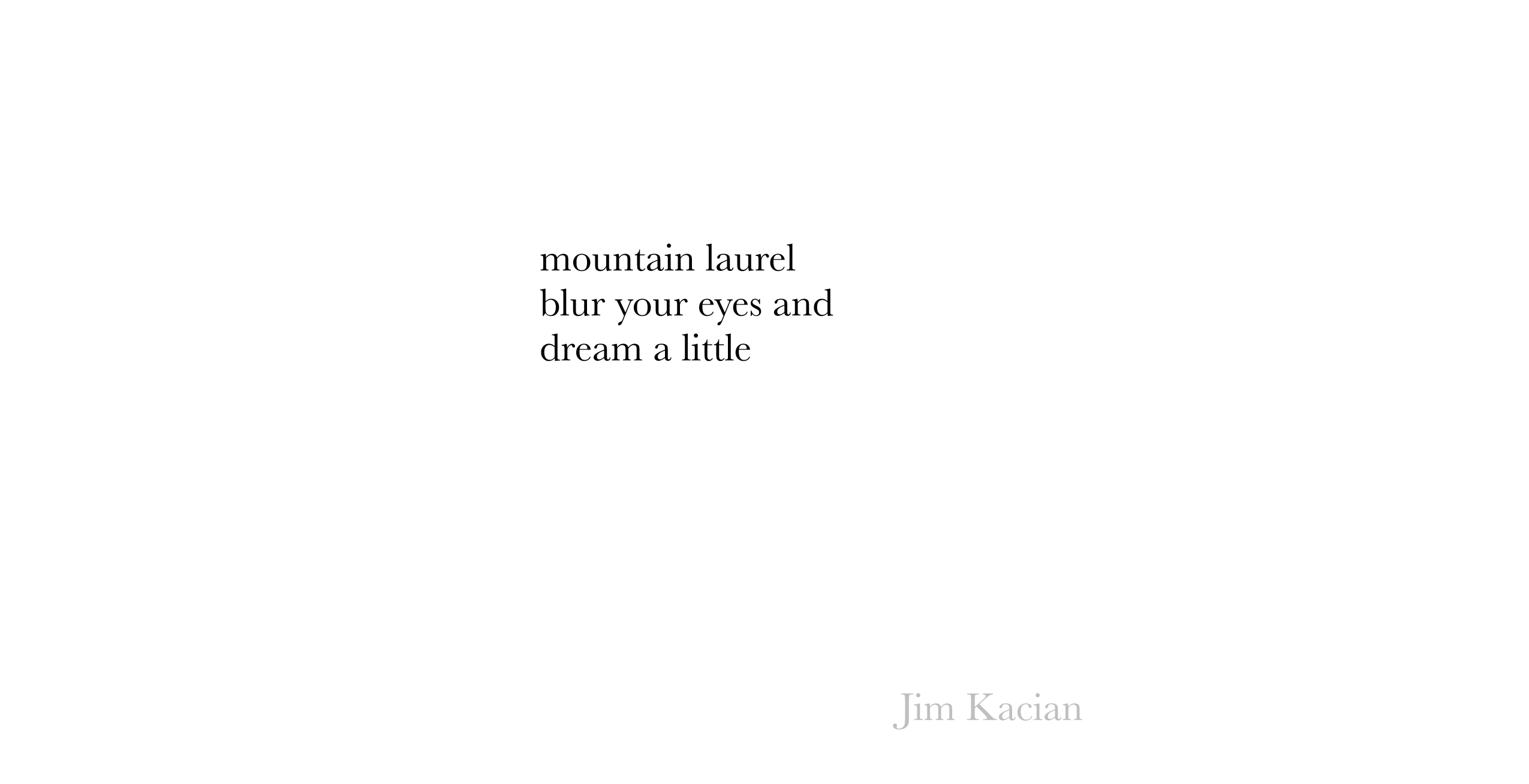 mountain-laurel-Kacian.jpg